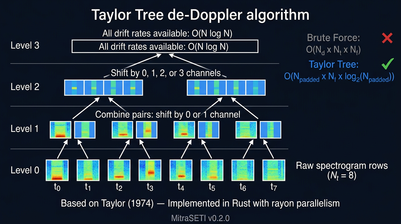 Taylor Tree